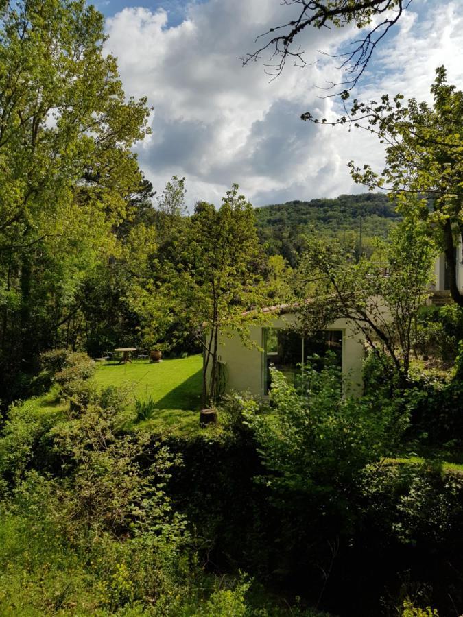 Beautiful Studio Surrounded By Nature Lanet Buitenkant foto