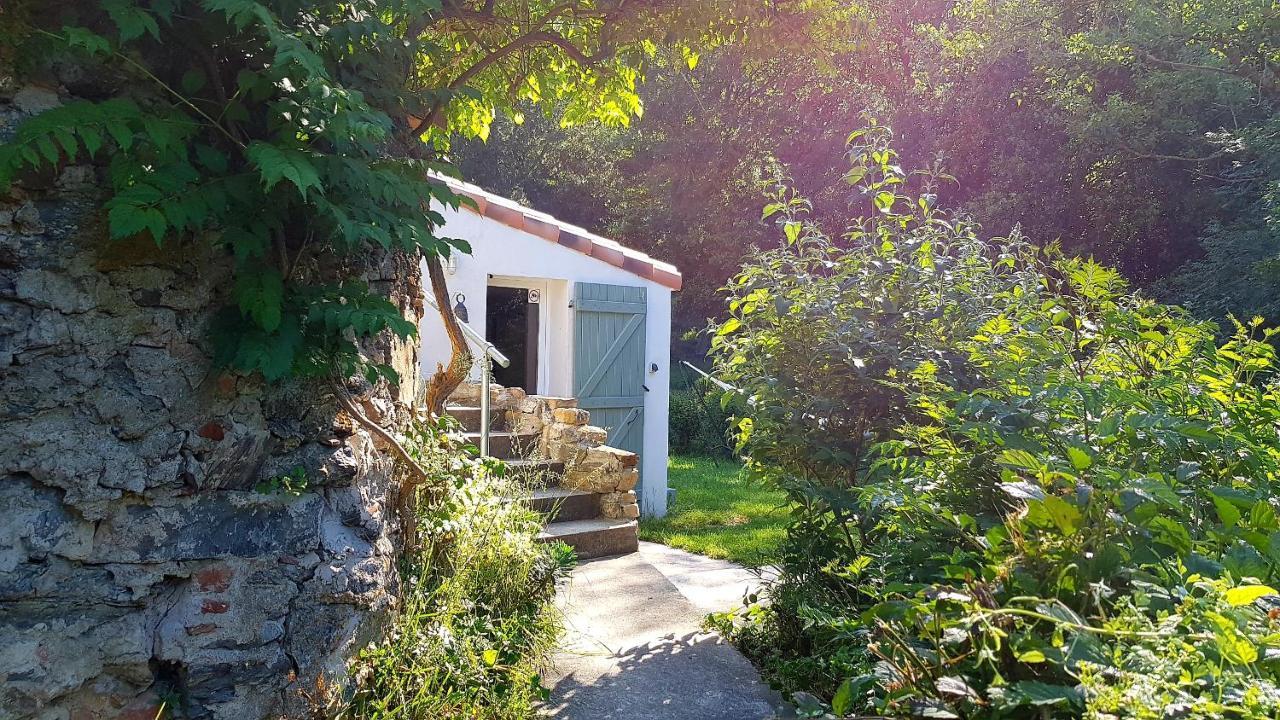 Beautiful Studio Surrounded By Nature Lanet Buitenkant foto