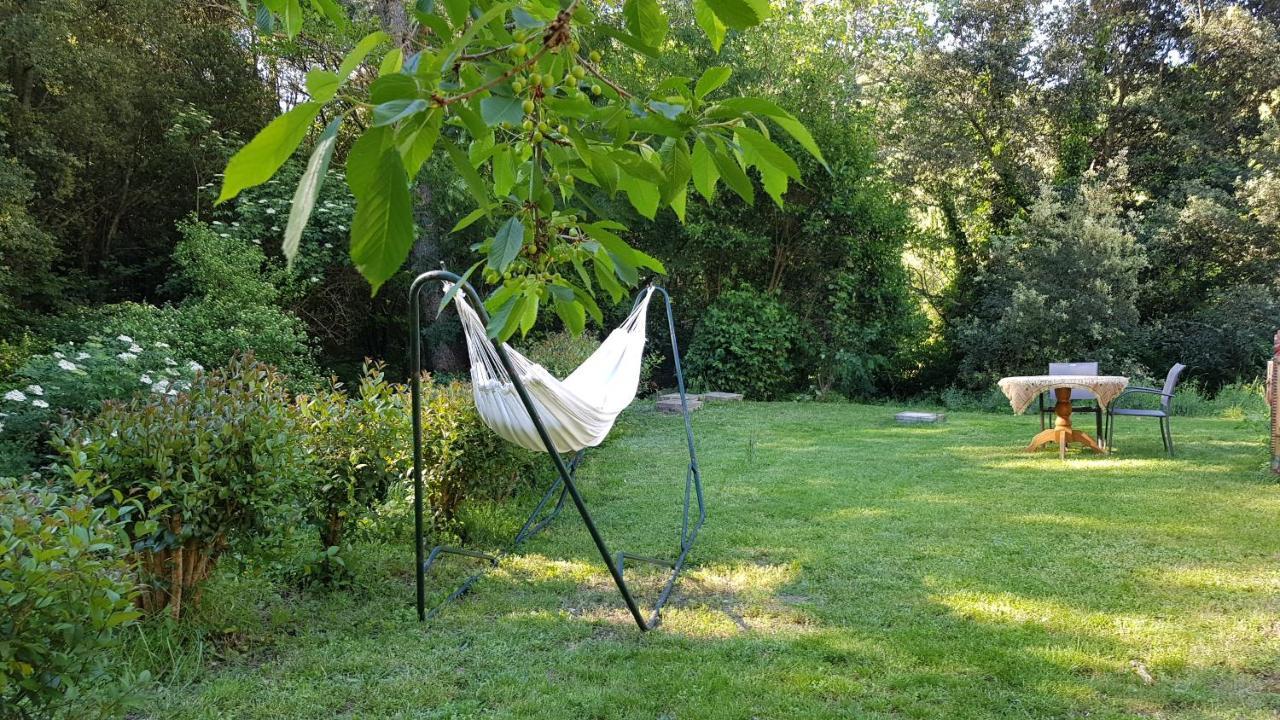 Beautiful Studio Surrounded By Nature Lanet Buitenkant foto