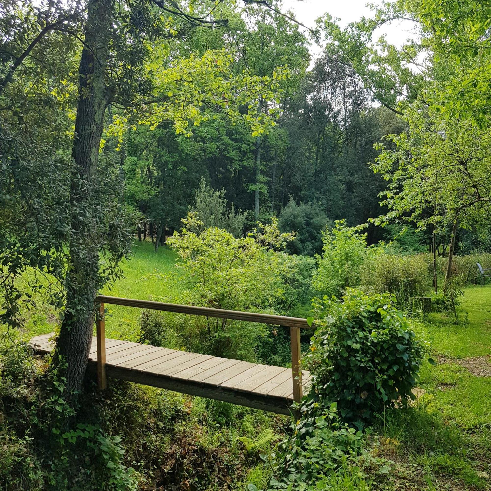 Beautiful Studio Surrounded By Nature Lanet Buitenkant foto